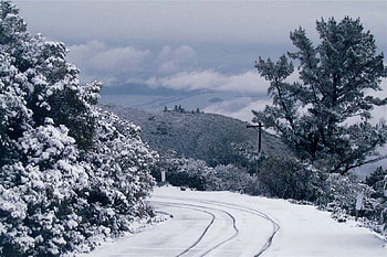 snow bay, snow, landscape, trees, sky, road, nature, cloud HD wallpaper
