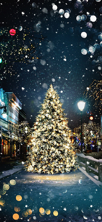 Christmas Tree, sky, world, light HD phone wallpaper