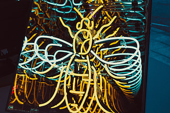 Shine, Light, Miscellanea, Miscellaneous, Form, Bee, Neon HD wallpaper