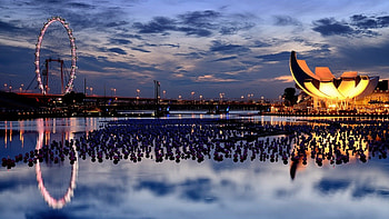 Singapore scenic , City , City lights at night, Urban atmosphere HD wallpaper