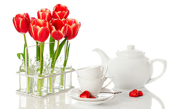 Plants, Flowers, Background, Tulips, Bouquets HD wallpaper