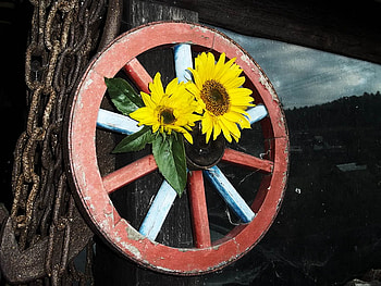 wagon wheel, blue, wagon, sunflowers, wheel, red HD wallpaper