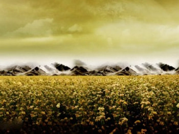 DREAMYWORLD, outrageous, lovely HD wallpaper