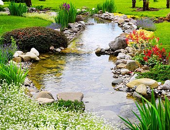Park Creek, creek, plants, bush, rocks, stones, park, flowers, Spring, water, foliage HD wallpaper