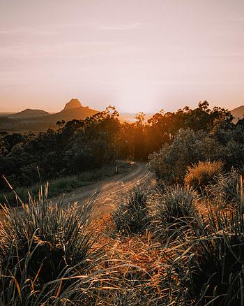 Nature, Grass, Mountains, Road, Asphalt HD phone wallpaper