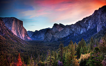Nature, Mountains, Forest, Evening, Hollow, Spine, Ridge, Combe HD wallpaper