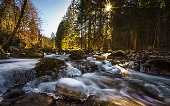 Sumava National Park, River Vydra, Czech Republic, stream, trees, forest, rocks, sun, ice, stones HD wallpaper