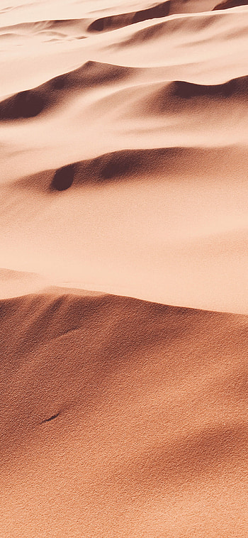 Desert for , High-resolution beauty, 's oasis, Endless enchantment HD phone wallpaper