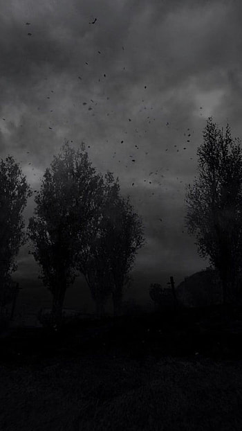 Depressing, Dark, Forest, Atmosphere HD phone wallpaper