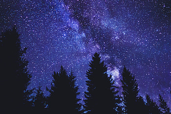 Trees, Night, Dark, Silhouette, Starry Sky HD wallpaper