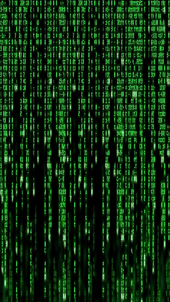 Lost in the Code, Rain, Matrix, Trinity, Digital, Neo, Morpheus HD phone wallpaper