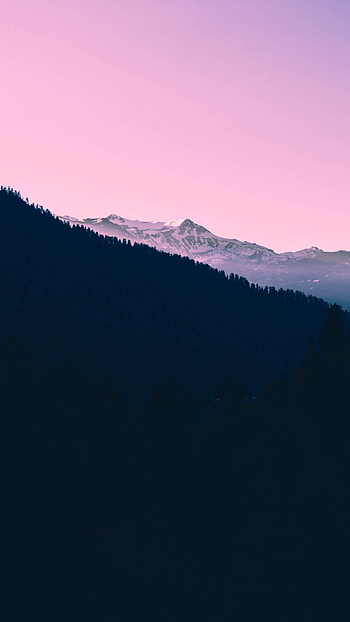 Live, Pink Sky HD phone wallpaper