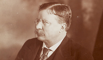 Theodore Roosevelt, Abortion debate HD wallpaper