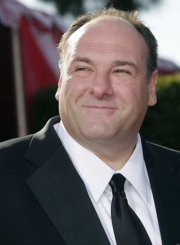 James Gandolfini, Celebrity HD phone wallpaper
