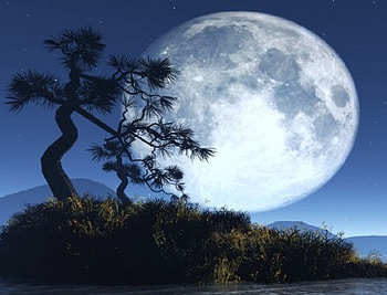 Moon HD wallpaper