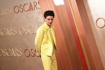 Timothée Chalamet at the Academy Awards - Ultra, Academy Awards (Oscars), Timothée Chalamet HD wallpaper
