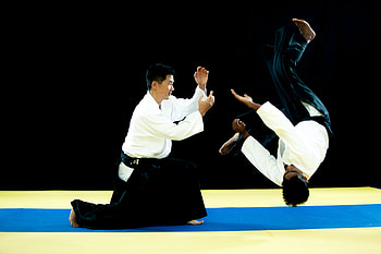 Kokikai, Aikido HD wallpaper