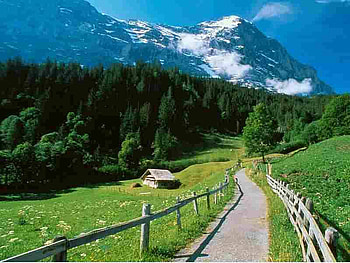 Alps, road, field, green, mountain HD wallpaper