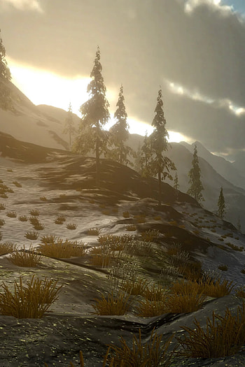 Wilderless captivating virtual world, Evocative environments, Thrilling discoveries, Epic odyssey HD phone wallpaper