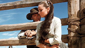 The Unforgiven, unforgiven, fence, woman, man HD wallpaper