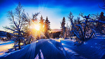Take Me Home, Winter Roads - Norwegian mountains of Norefjell, snow, sunrise, winter, landscape, trees, sky HD wallpaper