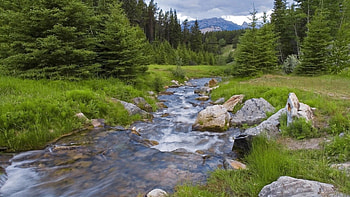 River Flowing in Between the Forest, blue, river, grass, rocks, mountain, daylight, day, green, trees, nature, sky, water, forest HD wallpaper