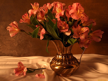 Plants, Flowers, Bouquets HD wallpaper