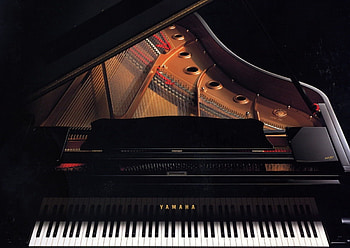 Melodic beauty, Musical elegance, Captivating performances, Artistic expressions HD wallpaper