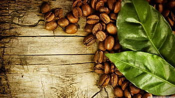 Coffee beans and leaves, leaves, abstract, graphy, , coffee, , drink HD wallpaper