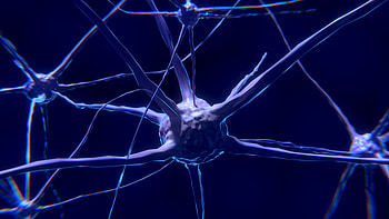 3D, Neuron, Nerve, Synapse HD wallpaper