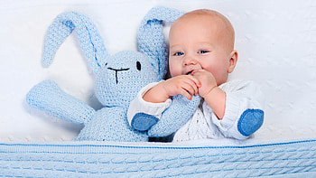 Cute Baby Child Is Lying Down On White Bed With Light Blue Stuffed Toy Cute HD wallpaper