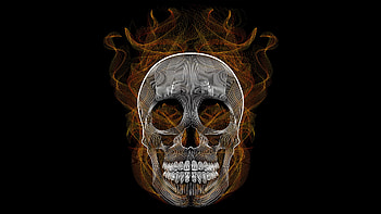 Blend Skull Vector Illustration, skull, artwork, digital-art, behance, illustration HD wallpaper