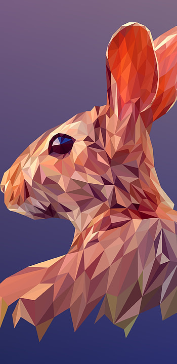 Rabbit, Facets HD phone wallpaper
