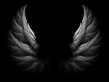 Angel Wing Background Fresh Angel Wings, Dark Wings HD wallpaper