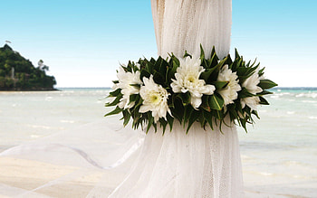 Flowers, Beach, Miscellanea, Miscellaneous, Wreath HD wallpaper
