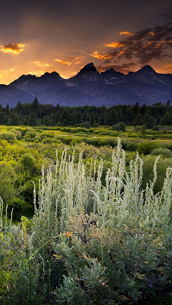 Sunset landscape, Beautiful landscape, Sony Xperia Z1 HD phone wallpaper