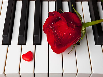 Sweet melody, sweet, melody, candy, rose, music, piano, flower, red, piano keys, heart HD wallpaper
