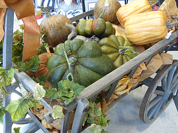 Winter squash, frunze, carro, hojas, courges d hiver, calabaza de invierno, panier, tartacute, feuilles, leafs, cart HD wallpaper