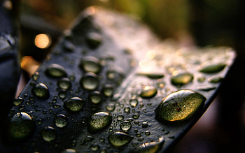 Grass, Drops, Macro, Surface, Shadow HD wallpaper