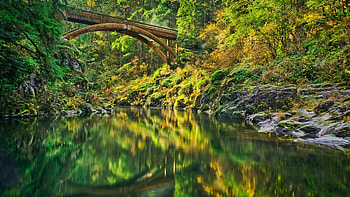 Lewis River, Washington, trees, bridge, water, reflections, usa HD wallpaper