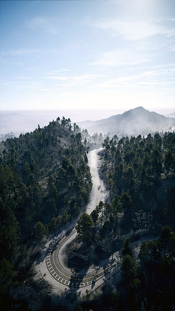Forest, aerial shot, Need For Speed Payback, video game HD phone wallpaper