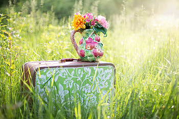 Flowers, Bouquet, Vase, Suitcase HD wallpaper