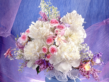Plants, Flowers, Bouquets HD wallpaper