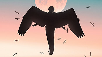 Bird Human , wings, artist, artwork, digital-art HD wallpaper