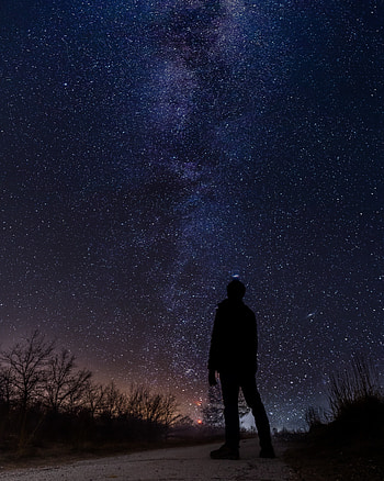 Stars, Night, Dark, Silhouette, Starry Sky, Milky Way, Observation HD phone wallpaper