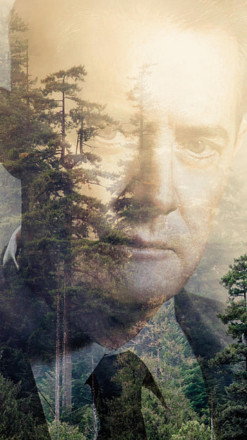 Twin Peaks (2022) movie HD phone wallpaper