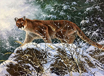 ..Mountain Lion.., winter, love four seasons, big wild cats, animals, snow, draw and paint, paintings, lion HD wallpaper