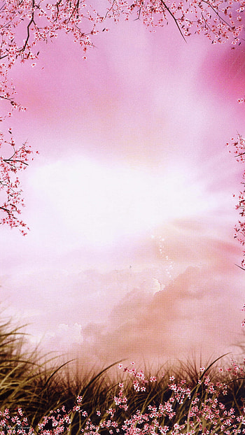 Spring Background, Adorable, Pink HD phone wallpaper