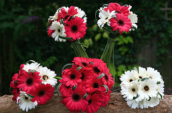 Flowers, Bouquets, Gerberas, Combination HD wallpaper