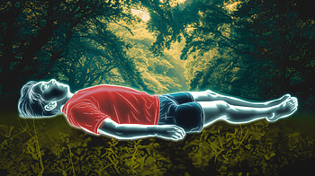 Tired Serenity: A Ultra to Refresh Your Mind, tired, resting, floating, forest, surreal HD wallpaper